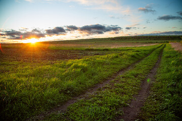 Tranquil sunset over a grassy field with a path, providing a serene countryside view
