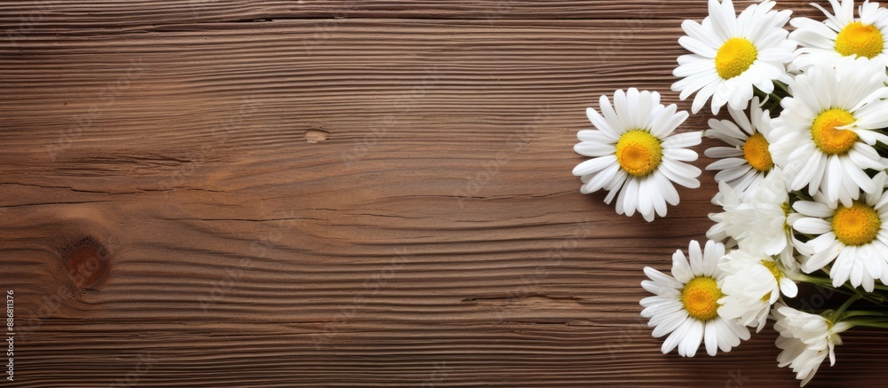 Aufkleber Chamomile flowers and a ribbon on a wooden background provide a charming setting for a copy space image.
