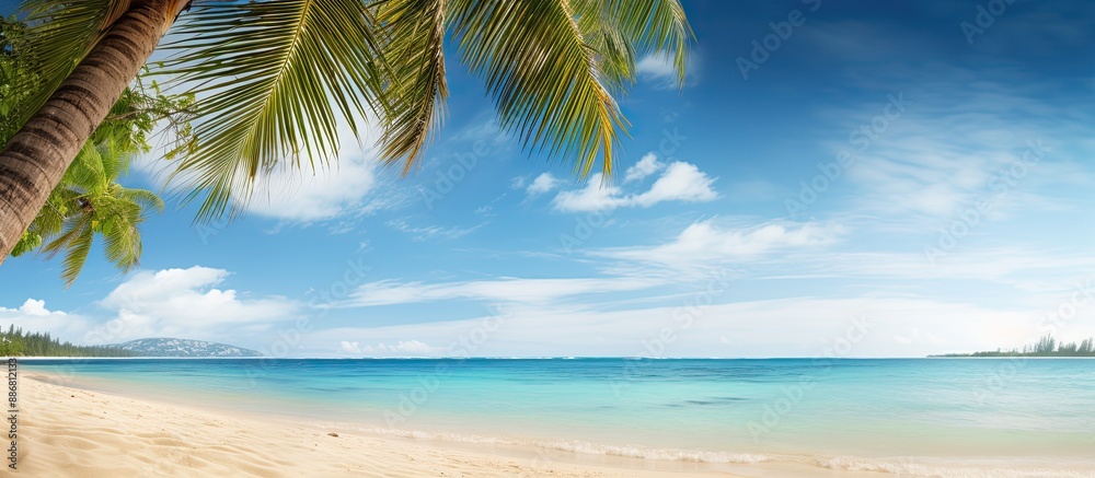 Poster Tropical beach scene with palm tree border against the backdrop. Copy space image available.