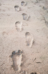 Outdoor photo of human footprints in the beach.