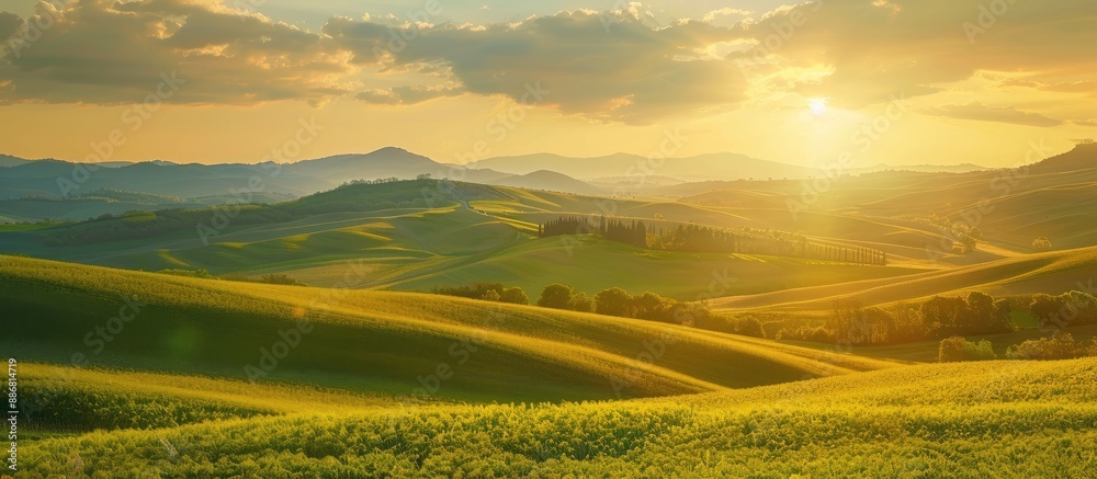 Poster autumn hills with the setting sun reflecting off green wheat fields, creating a picturesque scene wi
