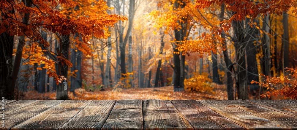 Leinwandbilder Autumn forest backdrop with trees a backdrop to an empty wooden table for placing inscriptions or advertisements. Ideal for copy space image.