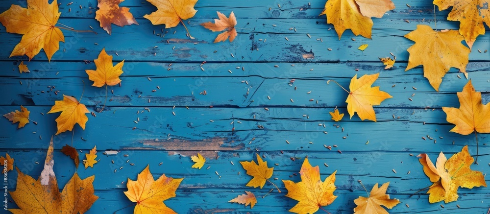 Aufkleber Autumn-themed scene with yellow maple leaves on a blue wooden surface. Seen from above with space for text or image.