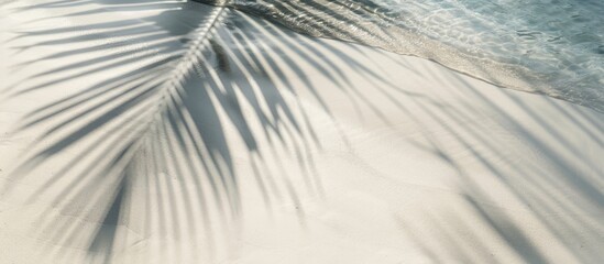 Obraz premium Abstract white sand beach with a palm leaf shadow casting onto it, sunlight reflecting off the water surface creating a serene summer vacation-themed copy space image.