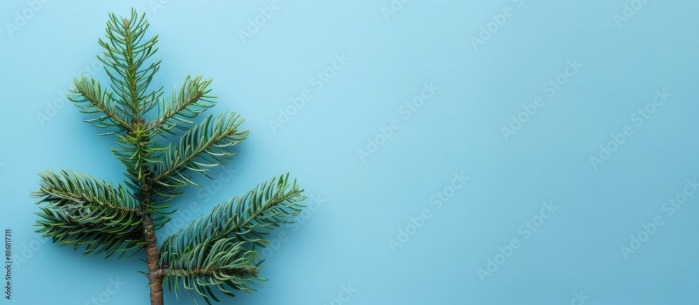 Poster a modern holiday-themed arrangement using green branches on a blue backdrop with a christmas tree br