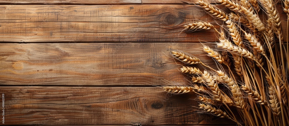 Poster A top-down view of wheat ears displayed on a wooden background with a clear area for text, suitable for a copy space image.
