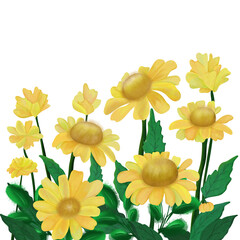 flowers of yellow and green leaves