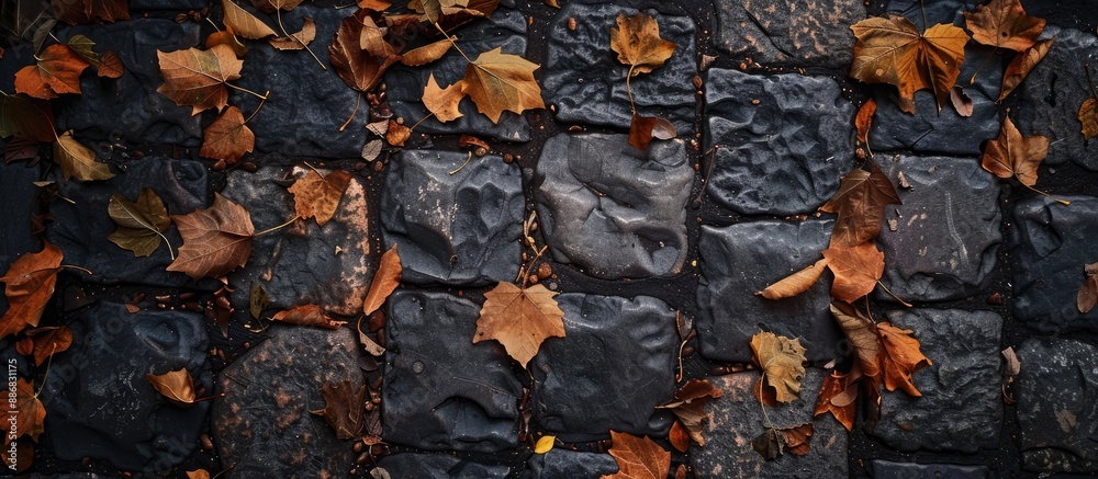 Aufkleber Fallen autumn leaves scattered on cobblestones, creating a rustic scene with a copy space image.