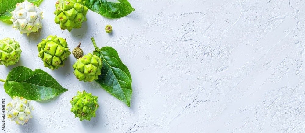Poster noni fruits displayed on a blank white backdrop with space for copying images.