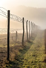 Obraz premium Steel barbed wire fence at field. Generated Ai