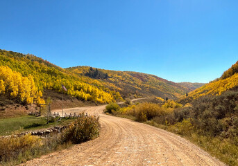 Mountain Top Dirt Road in the Fall