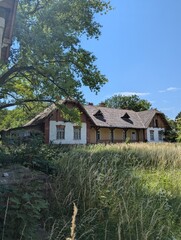 Fototapeta premium a log cabin sits in a field with a tree in the foreground.