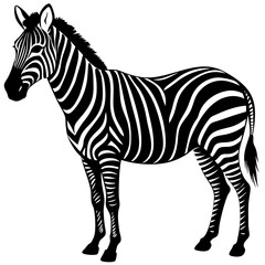 Vector Silhouette of Zebra
