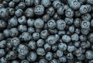 Tasty fresh blueberries background, top view. Macro photo