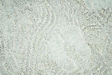 beautiful pattern on the sea sand on nature background