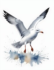 Obraz premium seagull in flight