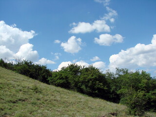 Panorama of the sunny slope of the hill that lifts up the Dnieper forest thickets against the background of the sunny blue sky decorated with snow-white cloud patterns.