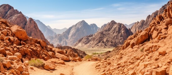 A Path Through the Majestic Mountains