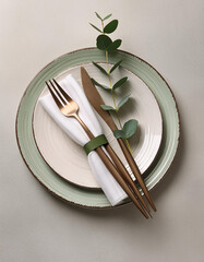 Stylish setting with cutlery, napkin, eucalyptus branch and plates on light table, top view