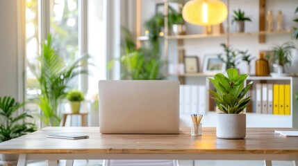 A laptop sits on a wooden desk in front of a potted plant. The desk is surrounded by bookshelves and a window, creating a cozy and inviting atmosphere