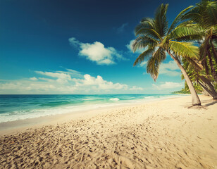 Obraz premium Tropical Sandy Ocean Beach with Palm Trees- A vintage-toned image of a tropical beach w_1(332)