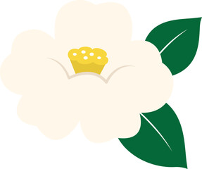 White Camellia tsubaki flower illustration icon.