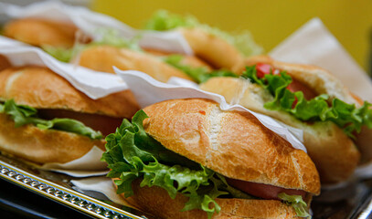 Sandwiches on a plate. Snack sandwiches.
