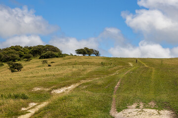 A pathway in the South Downs, with chalk visible through the grass