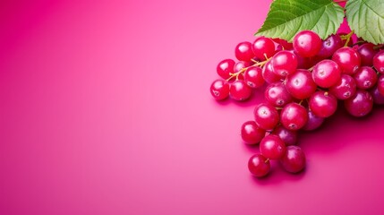  Red berries with green leaves on a pink backdrop, crowned by a single green leaf above