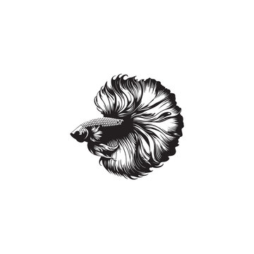 recommend clip art: Betta Fish silhouette
