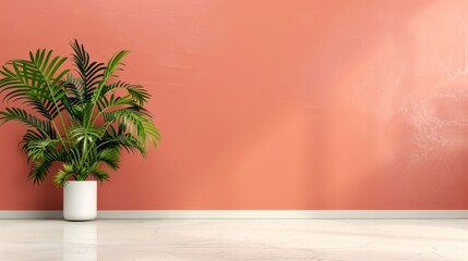 Fototapeta premium A potted plant before a pink wall Planter on the floor precedes it