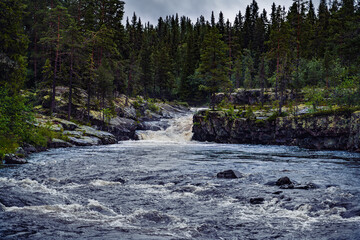 A fresh green forest encircles the mighty Sognstupet Waterfall on the Storån River in Idre, Dalarna, Sweden. The water flows over rocks, a refreshing sight post rain