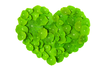 Design with the image of heart of green leaves isolated on transparent background. Happy Environment day, 05 June. Beat plastic pollution. Ecology concept.