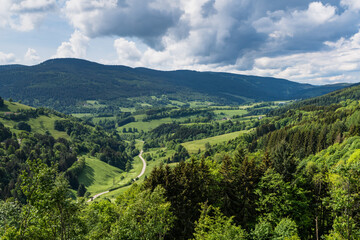 alsace_cretes_dsc_3208.jpg