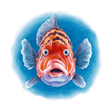 Watercolor aquarium scary surprised fish. Tropical colorful vector illustration of fish isolated on the background