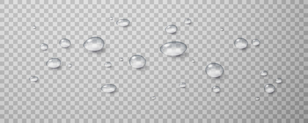 Realistic vector water drops png on a transparent light background. Water condensation on the surface with light reflection and realistic shadow. 3d vector illustration