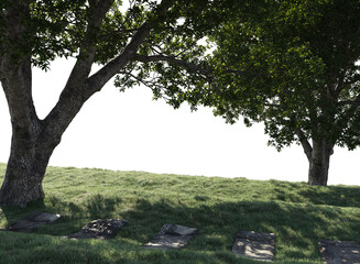 two trees standing next to each other on the left side, their branches touching. Green grass grows under them