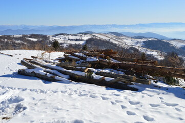 firewood in the snow in winter