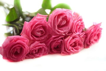 Bouquet of pink roses in vase