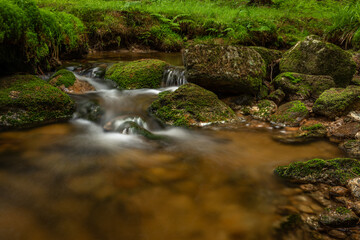 Bily creek in summer day near Nove Hamry village in Krusne mountains