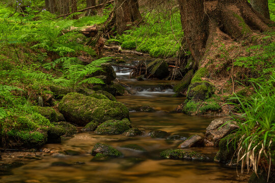 Bily creek in summer day near Nove Hamry village in Krusne mountains