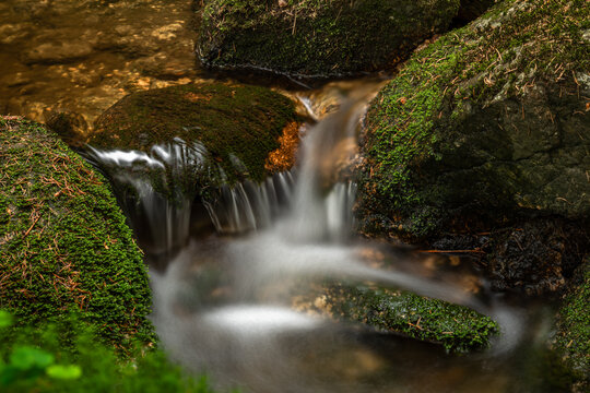 Bily creek in summer day near Nove Hamry village in Krusne mountains