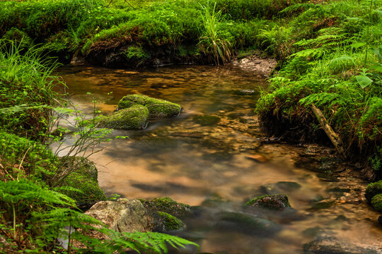 Bily creek in summer day near Nove Hamry village in Krusne mountains