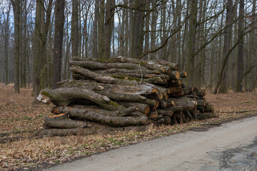 Cut wood by the meter is stacked and ready for heating for the winter. © Roman Bjuty