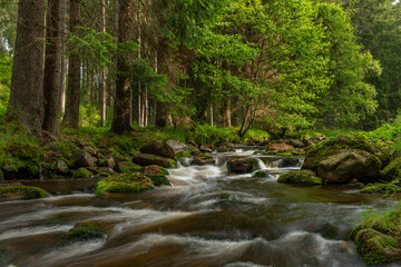 Fototapeta premium Rolava river with orange bed and grass on bank in summer hot morning