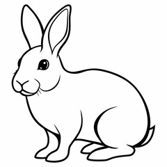 rabbit vector design 