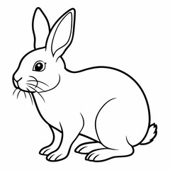 rabbit vector design 