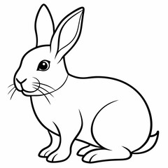 rabbit vector design 