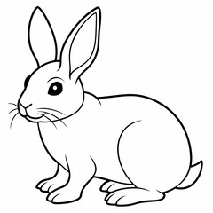 rabbit vector design 