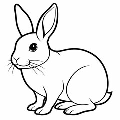 rabbit vector design 